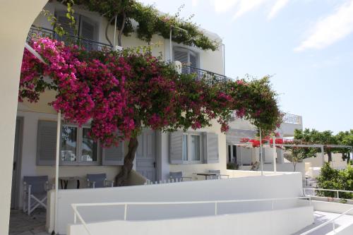 a building with pink flowers on the side of it at Aktio Studios in Gavrion