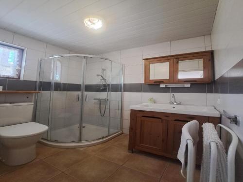 une salle de bain avec une douche, des toilettes et un lavabo dans l'établissement Cottage in Vézac with Pool and Barbecue, cleaning included, à Vézac