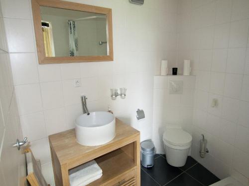 une salle de bain avec un lavabo et des toilettes dans l'établissement Tower in Austria with Rooftop Terrace, cleaning included, à Roussines