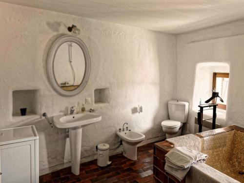 une salle de bain avec un lavabo, des toilettes et un miroir dans l'établissement Charming House in Ardèche near Les Vans, cleaning included, à Saint-Genest-de-Bauzon