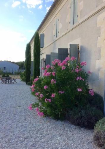 Κήπος έξω από το Country home, gite proche Benon et La Rochelle