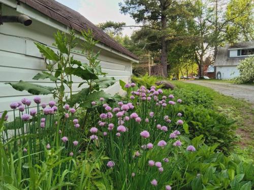 a garden with pink flowers next to a house at 10 Mi to Gore Mountain- Home in Adirondack Park home in Olmstedville