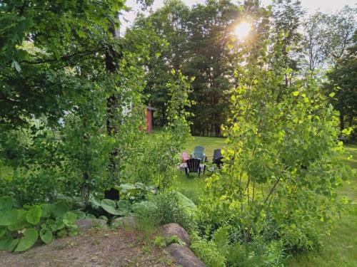 a garden with two chairs and a table and trees at 10 Mi to Gore Mountain- Home in Adirondack Park home in Olmstedville
