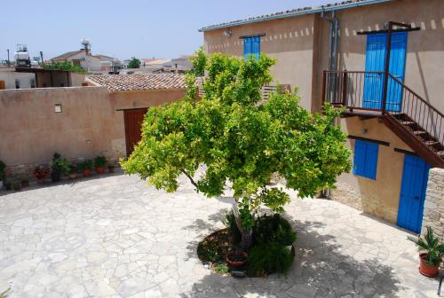 a tree in a courtyard next to a building at To Archontiko tis Anastasias in Athienou