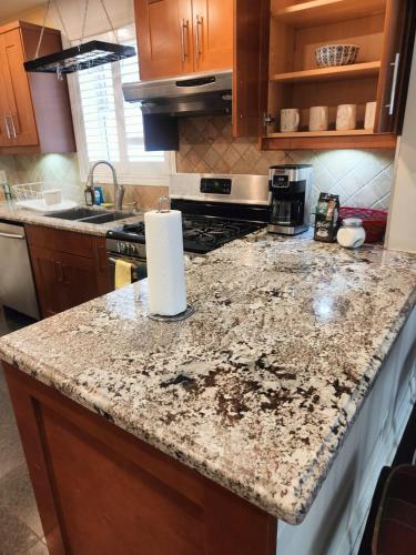 a kitchen counter with a roll of paper towels on it at Toronto Budget Central Stay in Toronto