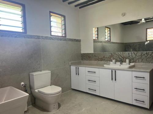 a bathroom with a toilet and a sink and a mirror at 3bed oceanfront with Ac &gazebo in Kwale