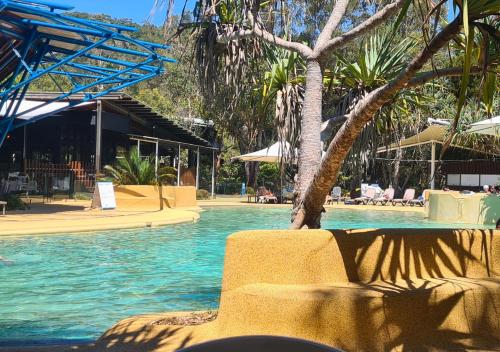 a swimming pool with blue water and palm trees at Sapphire Villa 535, Kingfisher Bay Resort, K'gari in K'gari Island (Fraser Island)