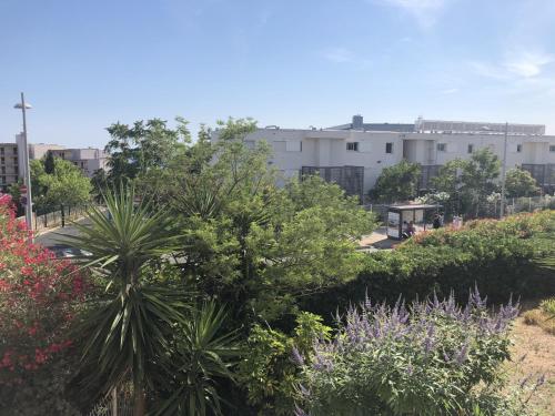 Photo de la galerie de l'établissement Bel appartement T2 proche plage avec parking privatif - FR-1-338-623, à Sète