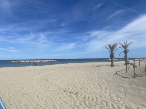 - une plage avec 2 palmiers et l'océan dans l'établissement Maison climatisée avec terrasse et parking près de la plage - FR-1-782-77, au Barcarès