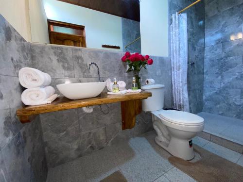 a bathroom with a sink and a toilet at Cabañas Armonía y Jardín de Orquídeas in Mindo