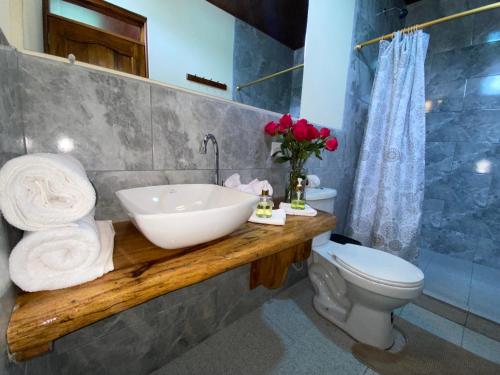 a bathroom with a sink and a toilet at Cabañas Armonía y Jardín de Orquídeas in Mindo