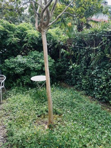 un arbre au milieu d'une cour avec une chaise dans l'établissement Appartement Cosy Pau avec Jardin, à Pau