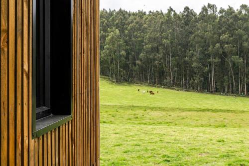 a window of a building looking out at a field with horses at Las Cabañas by PMJ in Cayambe