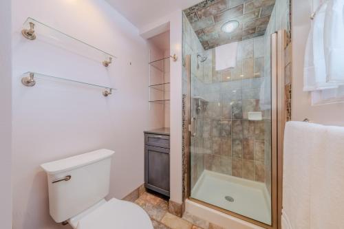 a bathroom with a shower and a toilet at Hilltop Heaven - 5 Star Comfort and Views in Panguitch