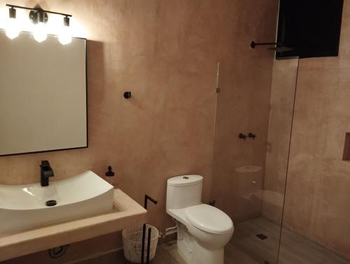 a bathroom with a toilet and a sink and a shower at Enjoy Mérida at Casa Cambas in Mérida