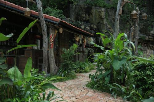 Κήπος έξω από το The Hive Hostel - Tam Coc