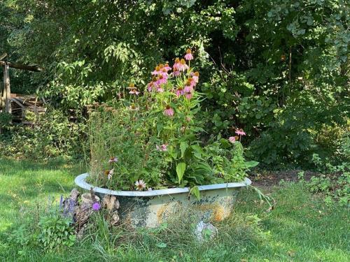 Ein Garten an der Unterkunft Charmning Cottage At The Edge Of The Uckermark