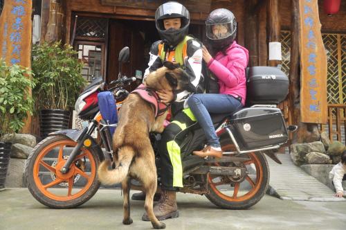 a man and a woman on a motorcycle with a dog at Zhangjiajie Jijiehao Inn in Zhangjiajie