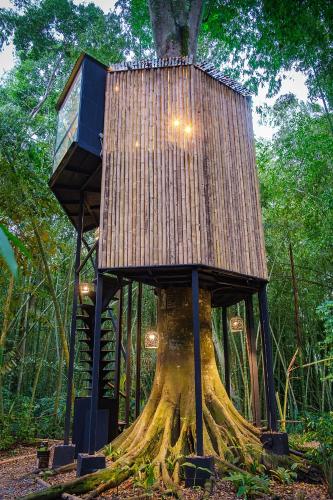 Fotografie z fotogalerie ubytování Amanatu Ecolodge & Spa v destinaci Quimbaya
