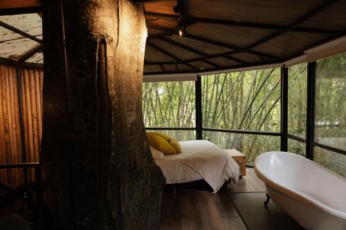 Fotografie z fotogalerie ubytování Amanatu Ecolodge & Spa v destinaci Quimbaya