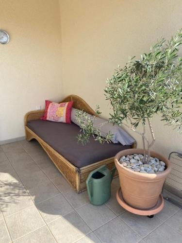 a couch in a room with a potted plant at Apartments & Rooms Luna in Bol