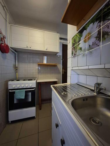 a kitchen with a sink and a stove at Vila Republicii - Eforie Nord Centru in Eforie Nord