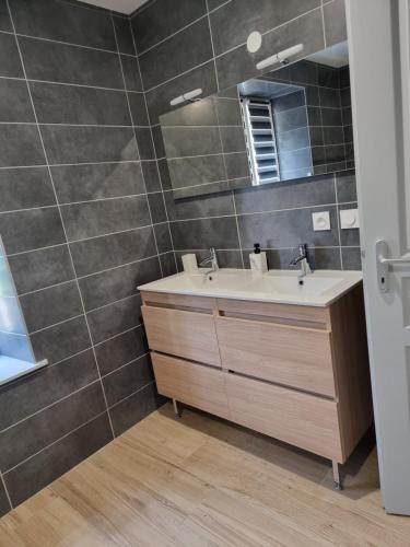 une salle de bain avec un lavabo et un miroir dans l'établissement Chez Remi, à Esmoulières