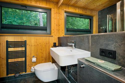 イルセンブルクにあるExperience Nature In A Loft At Treetop Heightのバスルーム(洗面台、トイレ、窓付)