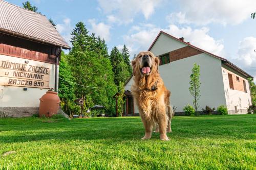 Domowe Zacisze w Nickulinie