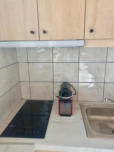 a kitchen with a sink and a trash can at Petalides Studios in Livadáki