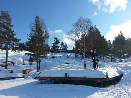 Norwegian Cabin Vibes With View In Vegårshei semasa musim sejuk