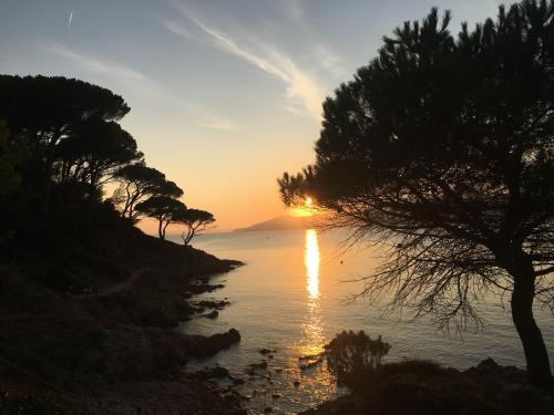 un coucher de soleil sur une étendue d'eau plantée d'arbres dans l'établissement Les Jasmins, à La Croix-Valmer