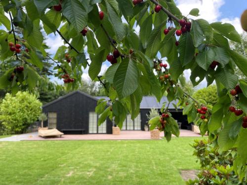 En have udenfor Luxury And Weekend Vibe In Hornbæk