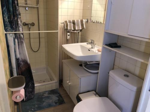 une petite salle de bain avec toilettes et lavabo dans l'établissement Studio 25 m2 Le Jasmin centre-ville, parking et balcon, à Aix-les-Bains