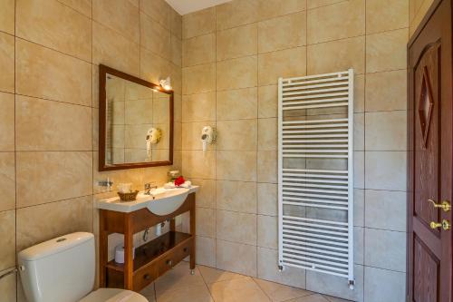 a bathroom with a toilet and a sink and a mirror at Pension Pantheon in Poiana Brasov