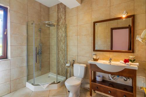 a bathroom with a shower and a toilet and a sink at Pension Pantheon in Poiana Brasov