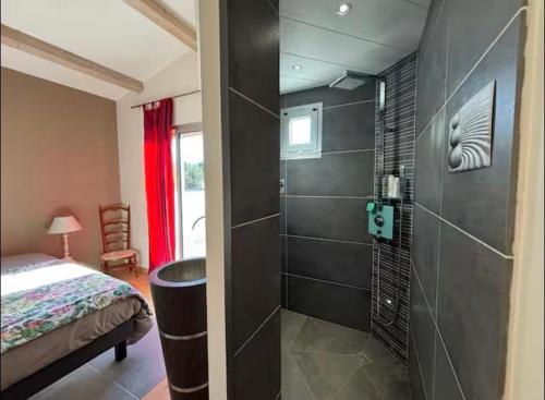 La salle de bains est pourvue d'une douche, d'un lavabo et d'un lit. dans l'établissement La villa du Soleil, à Nîmes