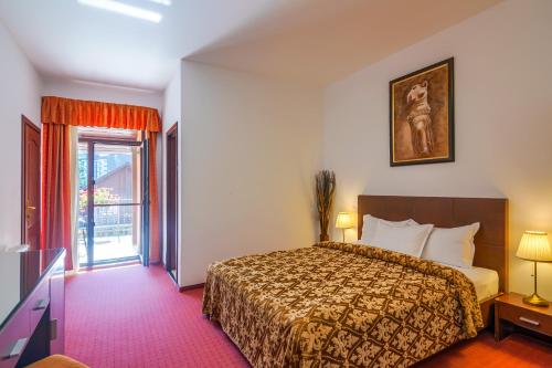 a hotel room with a bed and a window at Pension Pantheon in Poiana Brasov