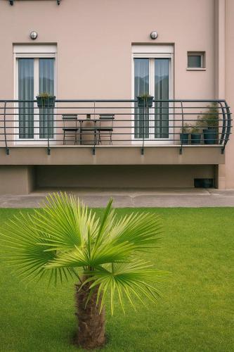 a palm tree in front of a building at ΖoiHouse in Polykárpion
