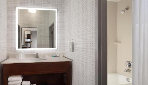 a bathroom with a sink and a mirror and a tub at Hampton Inn & Suites Tampa-North in Tampa