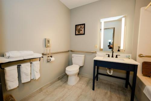 a bathroom with a toilet and a sink at AmericInn by Wyndham Tomahawk in Tomahawk