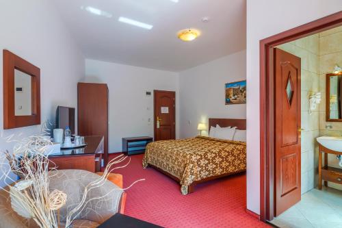 a hotel room with a bed and a sink at Pension Pantheon in Poiana Brasov