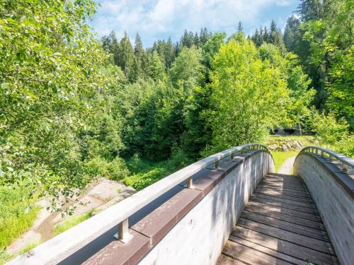 un ponte su un fiume con alberi sullo sfondo di Property in Kirchbichl a Kirchbichl