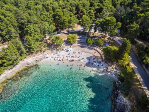 Studio in Pula with Sea View Terrace