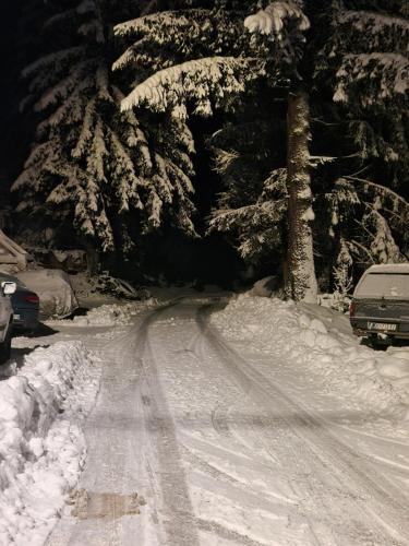a snow covered road with a snow covered tree at Zimski san in Ravna Gora