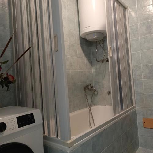 a shower in a bathroom with a toilet and a sink at Apartmani Kolovic Susanj in Bar