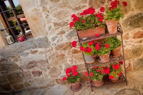 a display of red flowers in pots on a stone wall at Casona de San Pantaleón de Aras in San Pantaleón de Aras