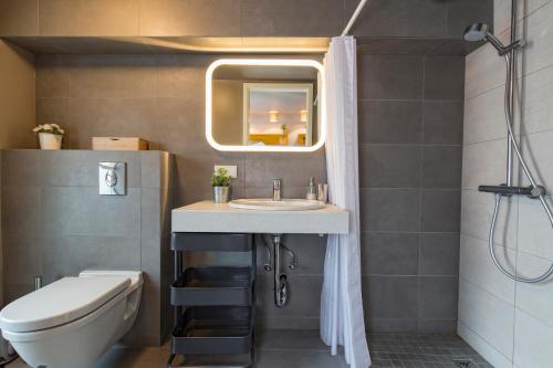 a bathroom with a sink and a toilet and a mirror at Embassy Villa in Reykjavík