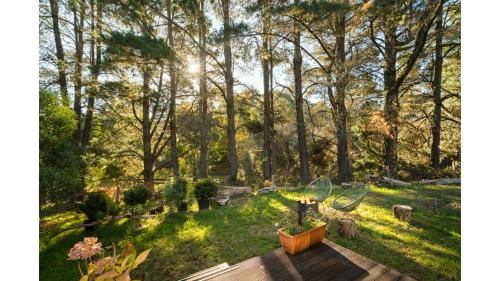 a view of a garden with trees and grass at Tiny Zahalka House by Tiny Away in Daylesford
