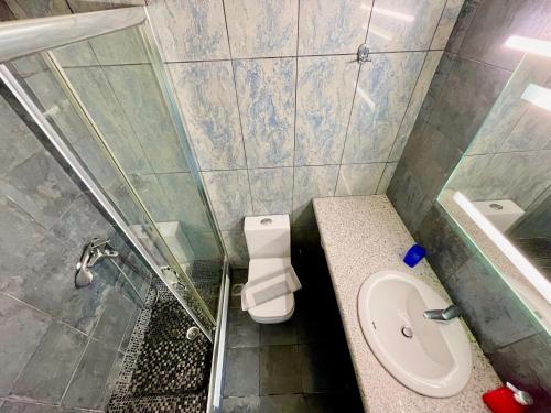 a bathroom with a toilet and a shower and a sink at Octopus in Vasiliki